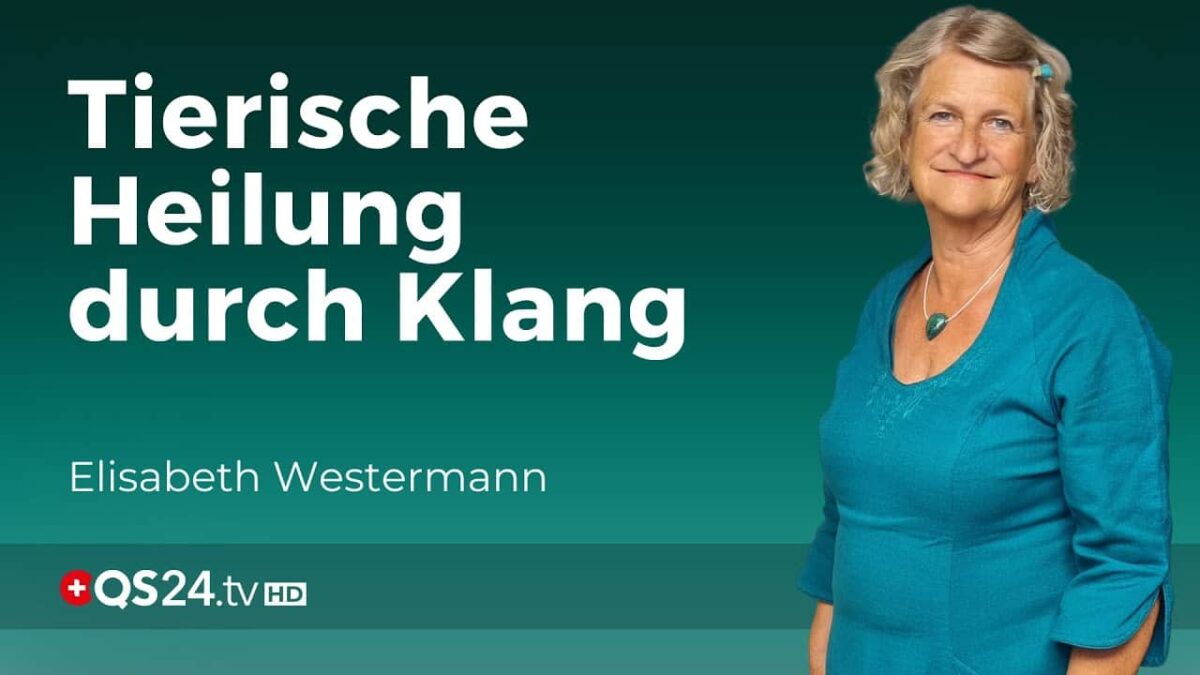 Die Welt der Klänge und ihre heilende Wirkung auf Mensch und Tier  | Erfahrungsmedizin | QS24