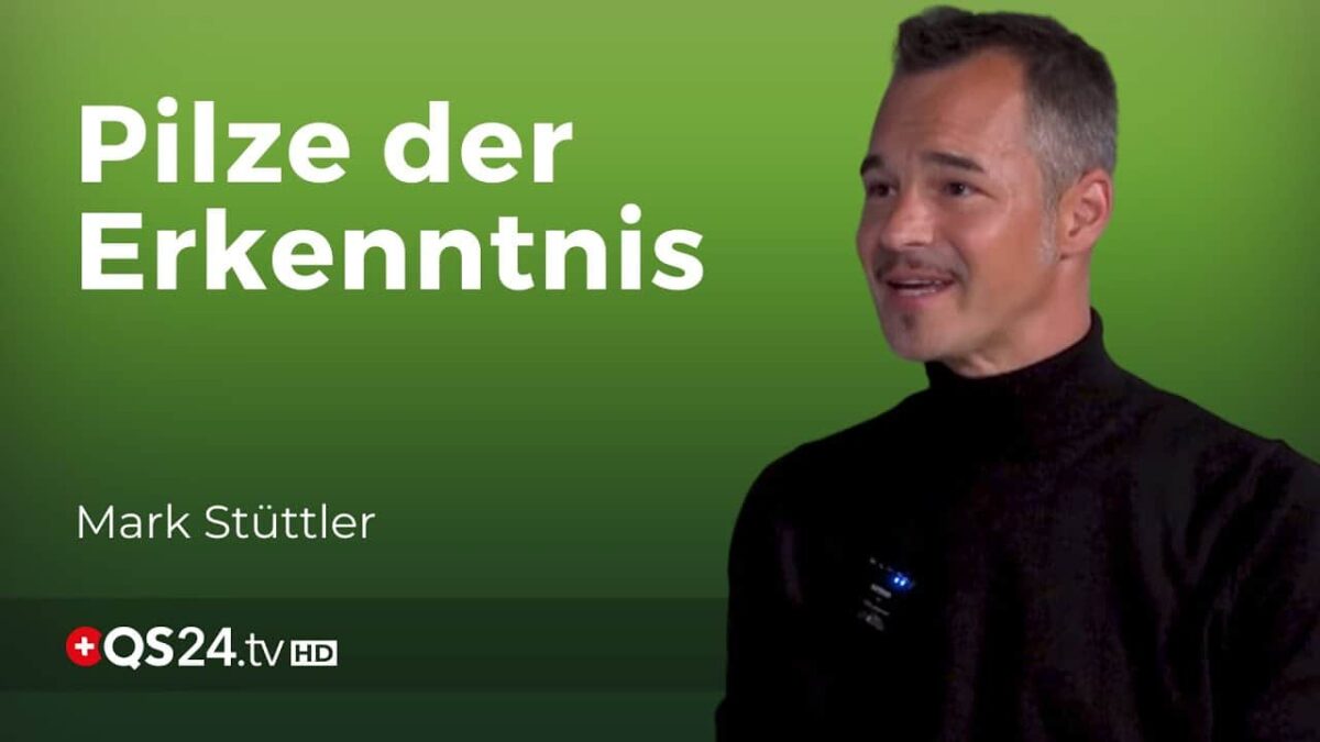 Nikolaus und die fliegenden Rennpferde: Eine Reise durch die Welt der psychoaktiven Pilze | QS24