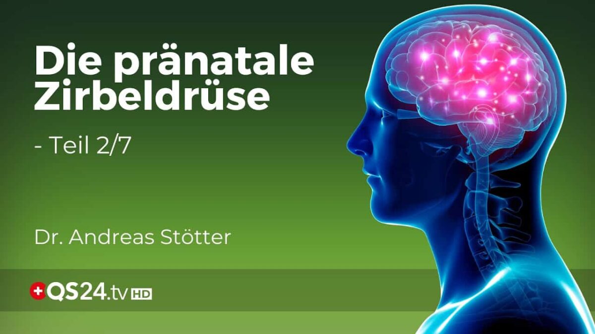 Die vorgeburtliche Zirbeldrüse: Wie sie das Ungeborene formt und beeinflusst | Teil 2/7 | QS24