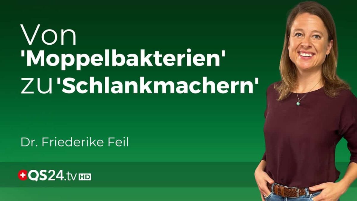 Schluss mit Diäten: Wie ein gesunder Darm Ihnen hilft, Gewicht zu verlieren  | QS24