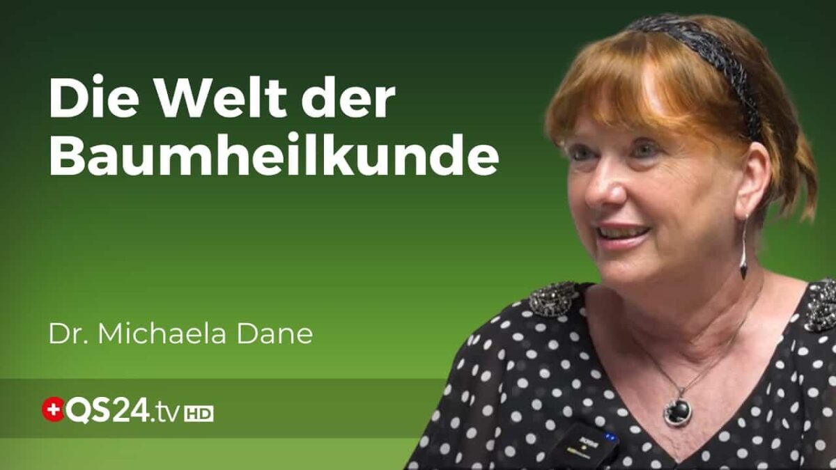 Die Heilkraft der Bäume: Alte Weisheiten für moderne Gesundheit | Erfahrungsmedizin | QS24