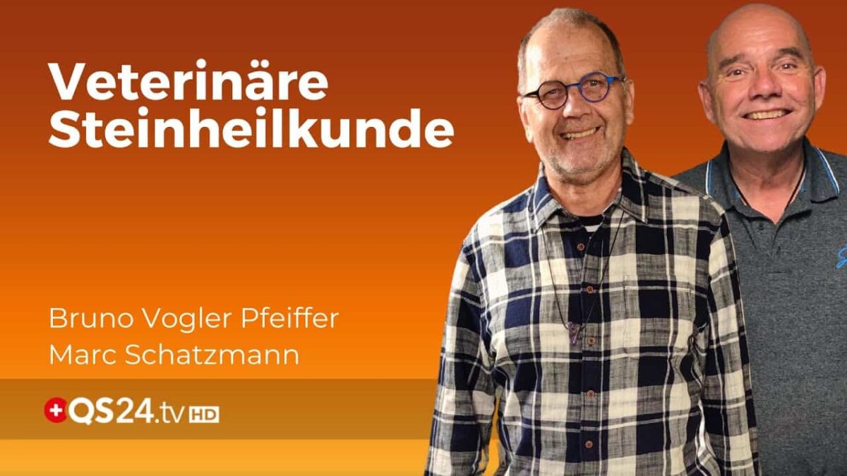 Heilsteine in der Tiermedizin: Ein Tierarzt berichtet | Back to school | QS24 Gesundheitsfernsehen