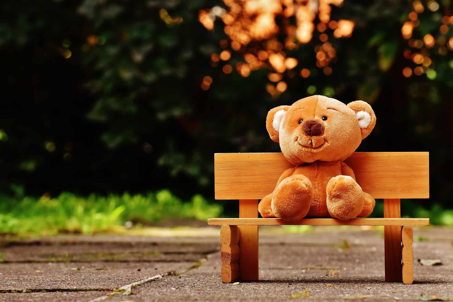 Alternative Müllverbrennung, Selbstrettung & Teddybären für Kinder in Not